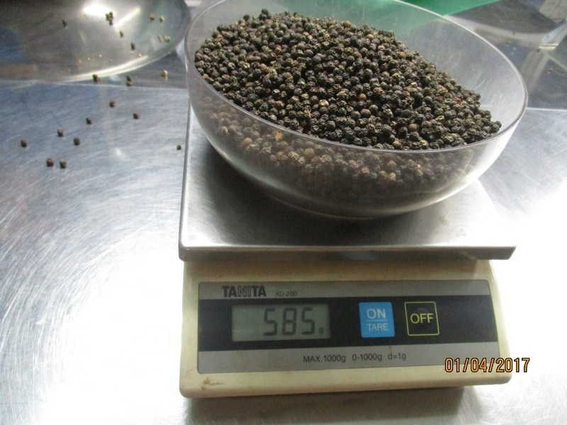 HOT SPICES BLACK PEPPER SEED 570G/L FAQ NEW CROP HANFIMEX TOP VIETNAM FACTORY PRICE HIGH QUALITY  WhatsApps 0084374074818