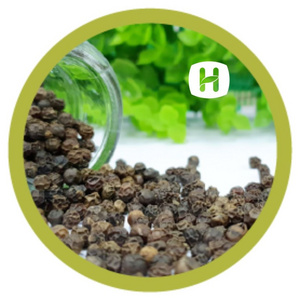 HOT SPICES BLACK PEPPER SEED 570G/L FAQ NEW CROP HANFIMEX TOP VIETNAM FACTORY PRICE HIGH QUALITY  WhatsApps 0084374074818