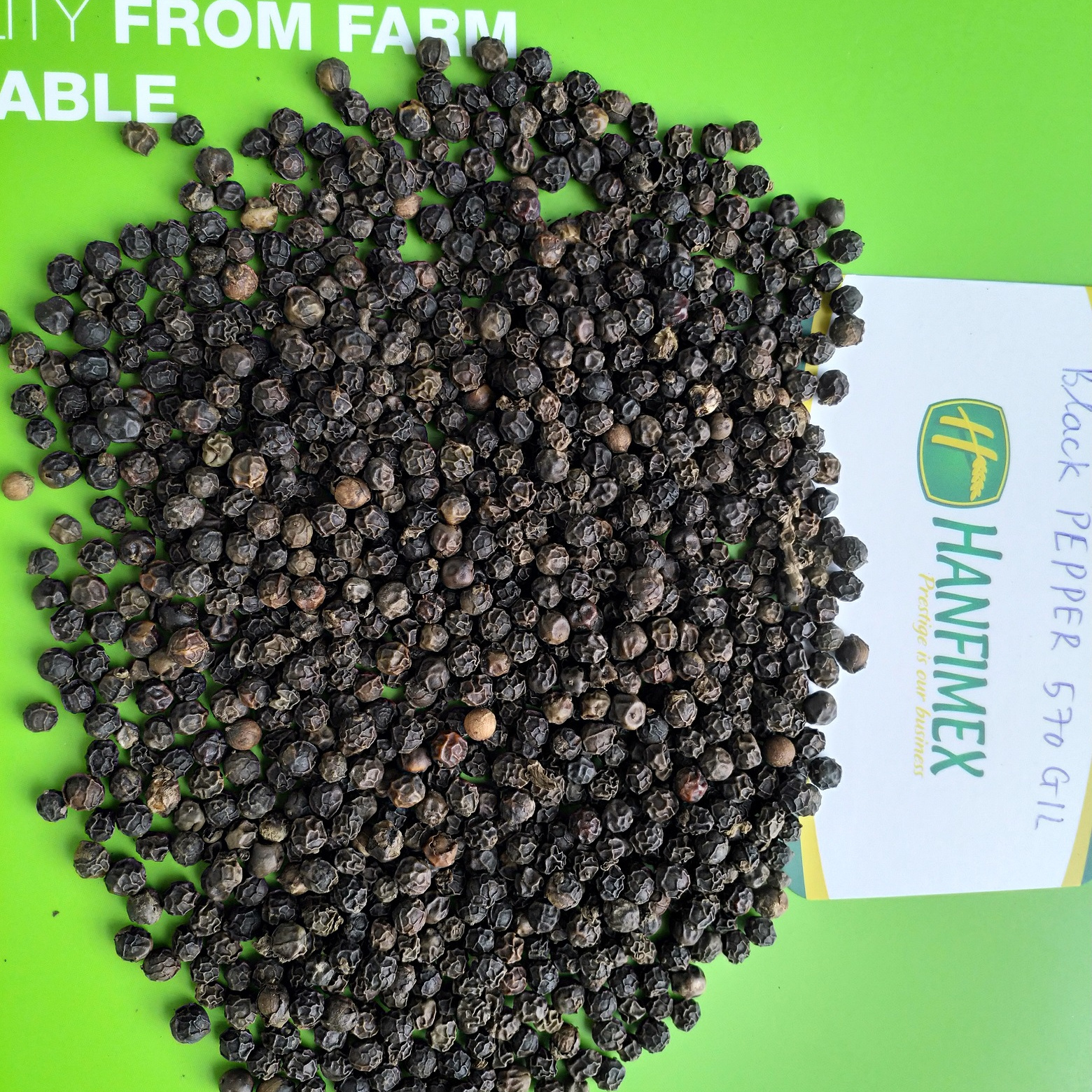 HOT SPICES BLACK PEPPER SEED 570G/L FAQ NEW CROP HANFIMEX TOP VIETNAM FACTORY PRICE HIGH QUALITY  WhatsApps 0084374074818