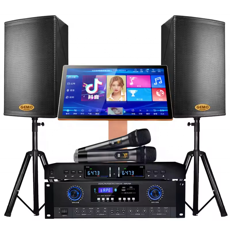 Multi-languages Sing Karaoke System with Mic Amplifier and Speakers Powerful Karaoke Players KTV Karaoke Machine Set