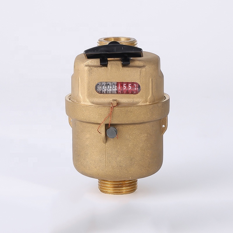 LIRLEE Digital Water Meter Brass Body Volumetric Rotary Piston Water Meters With Pulse Reed Switch Remote Reading