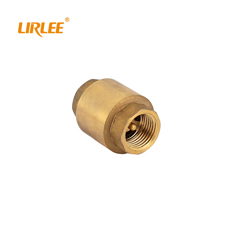 LIRLEE Factory Price custom high quality sump pump check valve ps for swimming pool