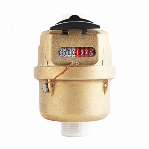 LIRLEE Digital Water Meter Brass Body Volumetric Rotary Piston Water Meters With Pulse Reed Switch Remote Reading