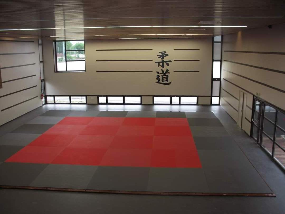 Pro Flexi Roll Out Mats For Martial Arts Foldling Gymnastics Roll Out Floor Mats For Sale