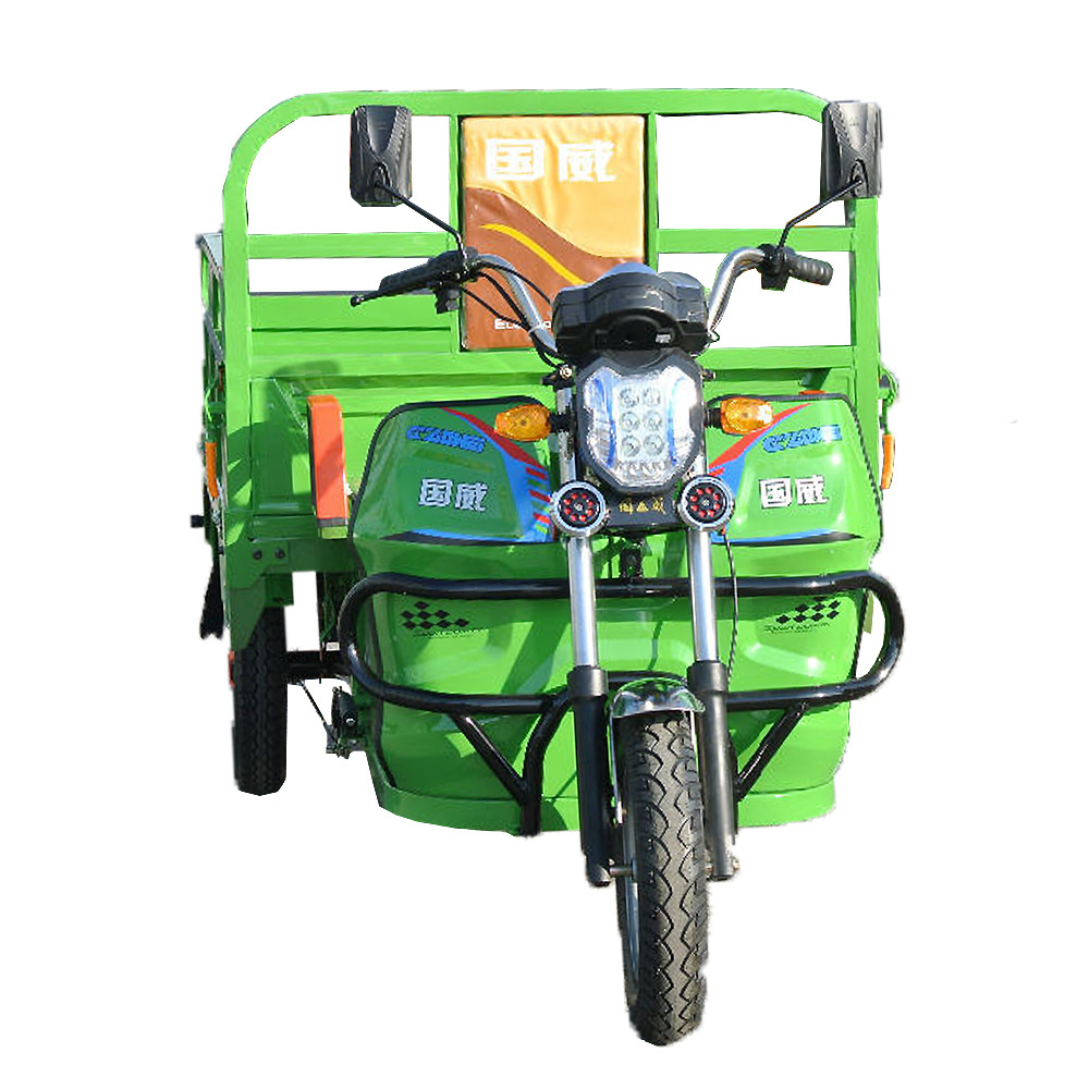 GUOWEI Custom 800w differiential motor 3 three wheel electric motorcycle car bike cargo trike tricycle for adults