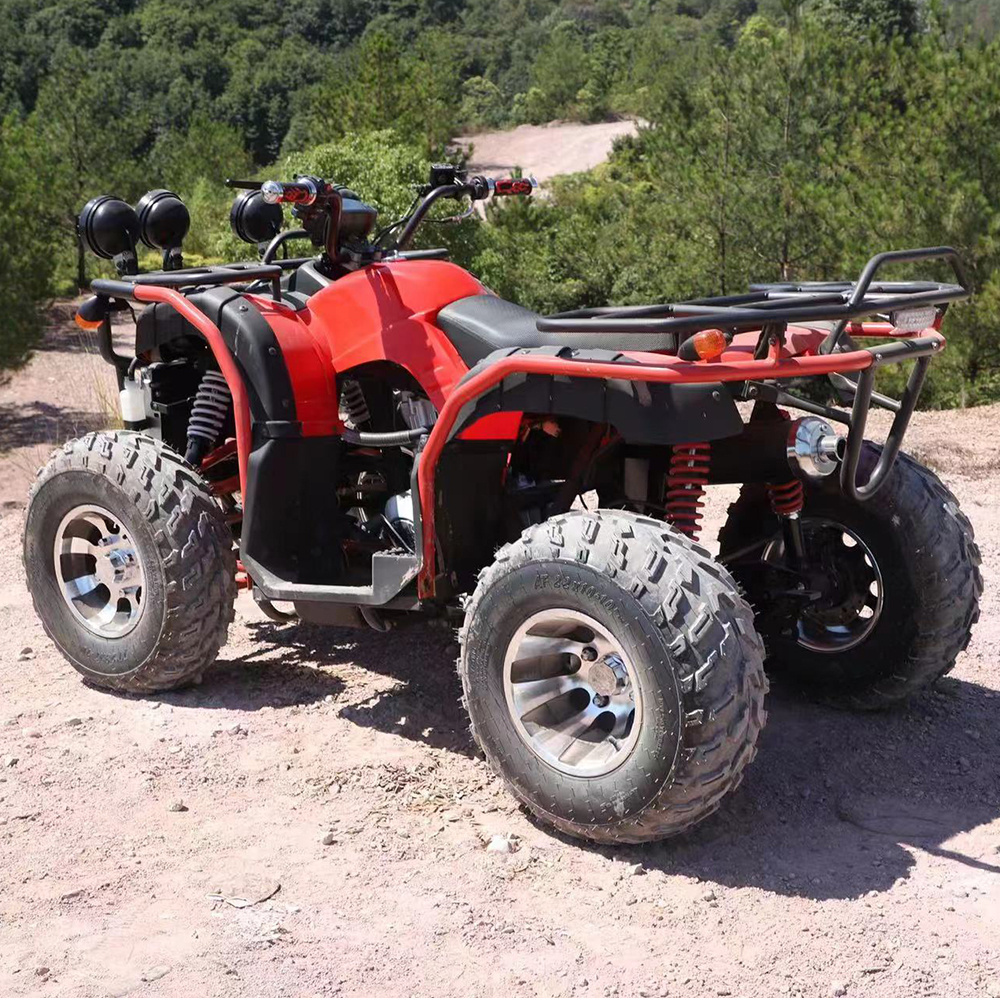 125cc 150cc 200cc 250cc 300cc Gasoline 4 Stroke Chain Drive Four Wheelers 2 Seater Atv Side By Side Sideadult Utv