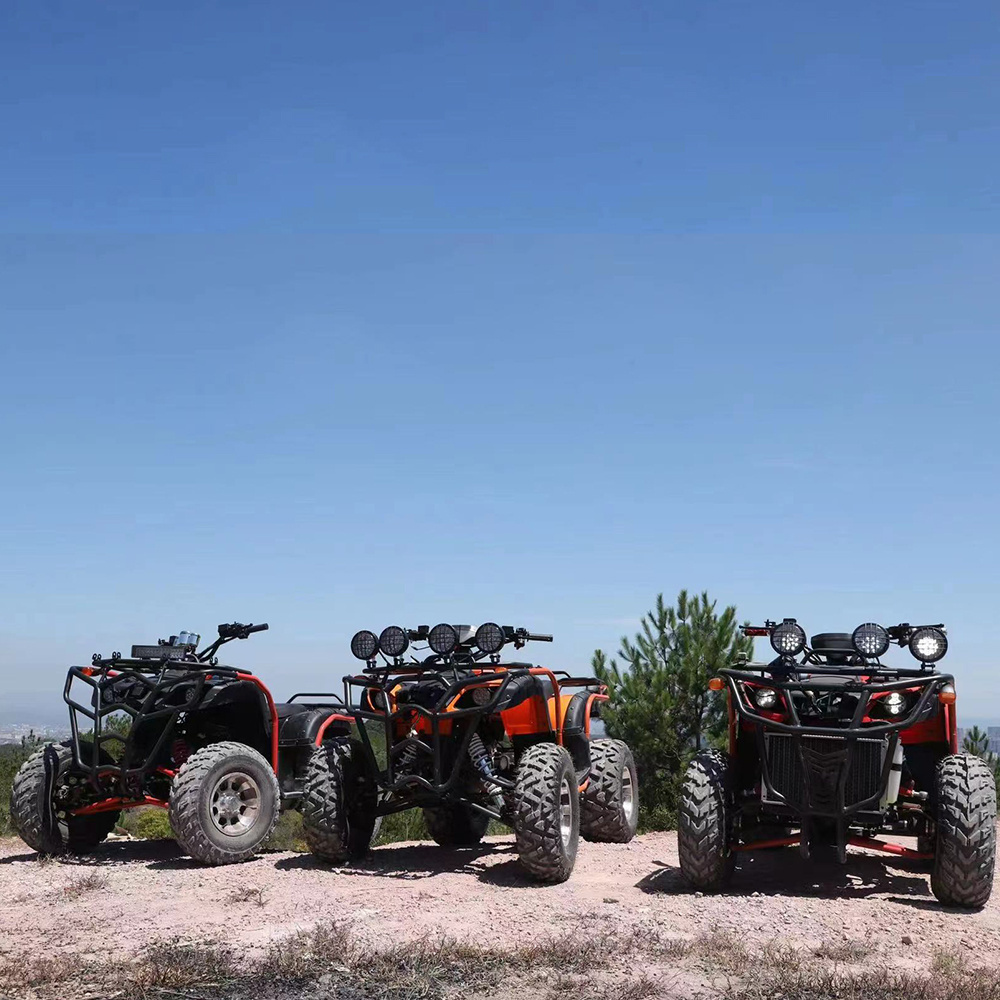 125cc 150cc 200cc 250cc 300cc Gasoline 4 Stroke Chain Drive Four Wheelers 2 Seater Atv Side By Side Sideadult Utv