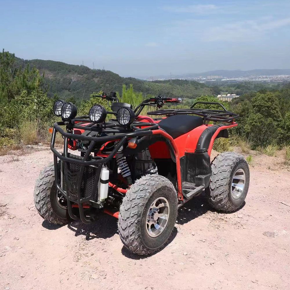 125cc 150cc 200cc 250cc 300cc Gasoline 4 Stroke Chain Drive Four Wheelers 2 Seater Atv Side By Side Sideadult Utv