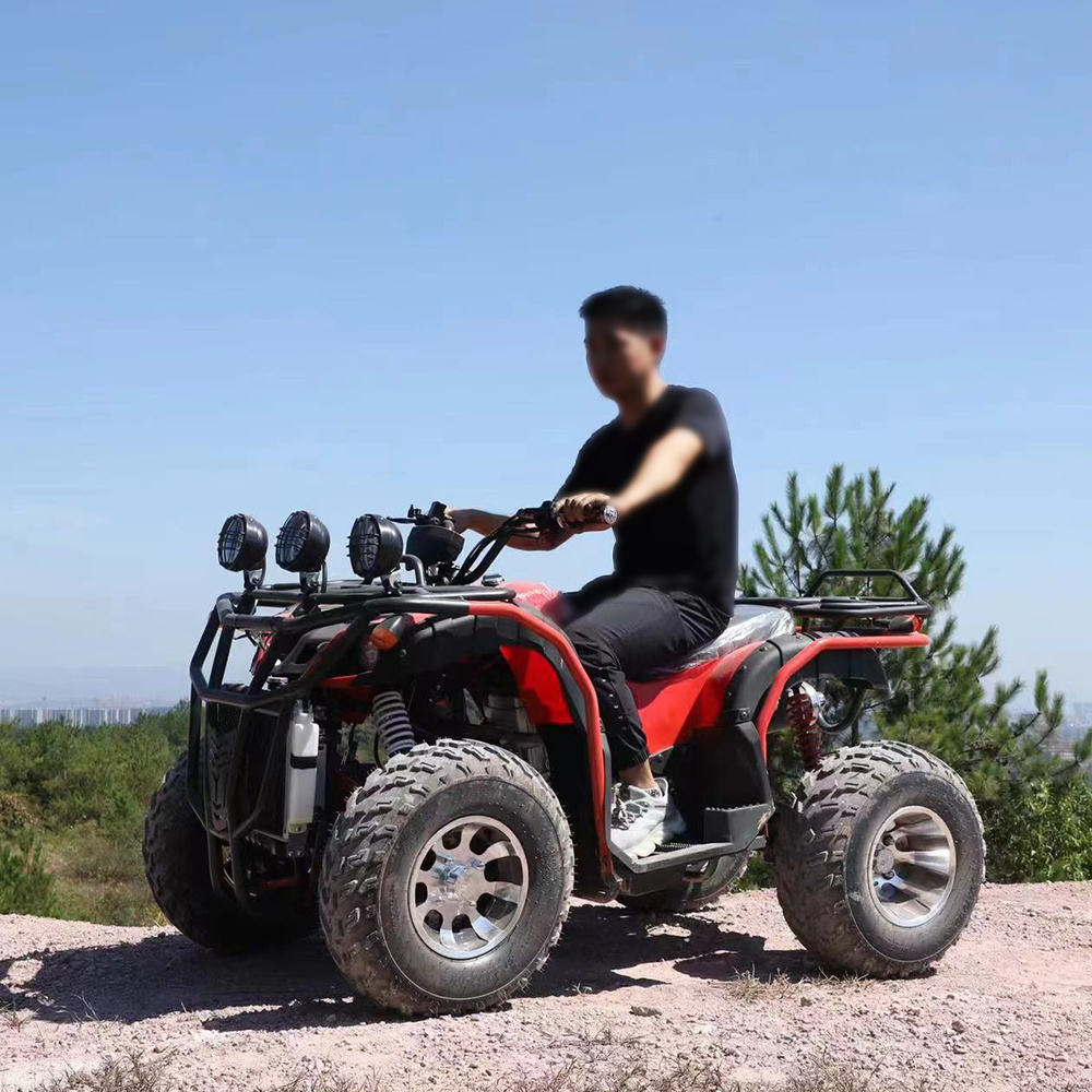 125cc 150cc 200cc 250cc 300cc Gasoline 4 Stroke Chain Drive Four Wheelers 2 Seater Atv Side By Side Sideadult Utv