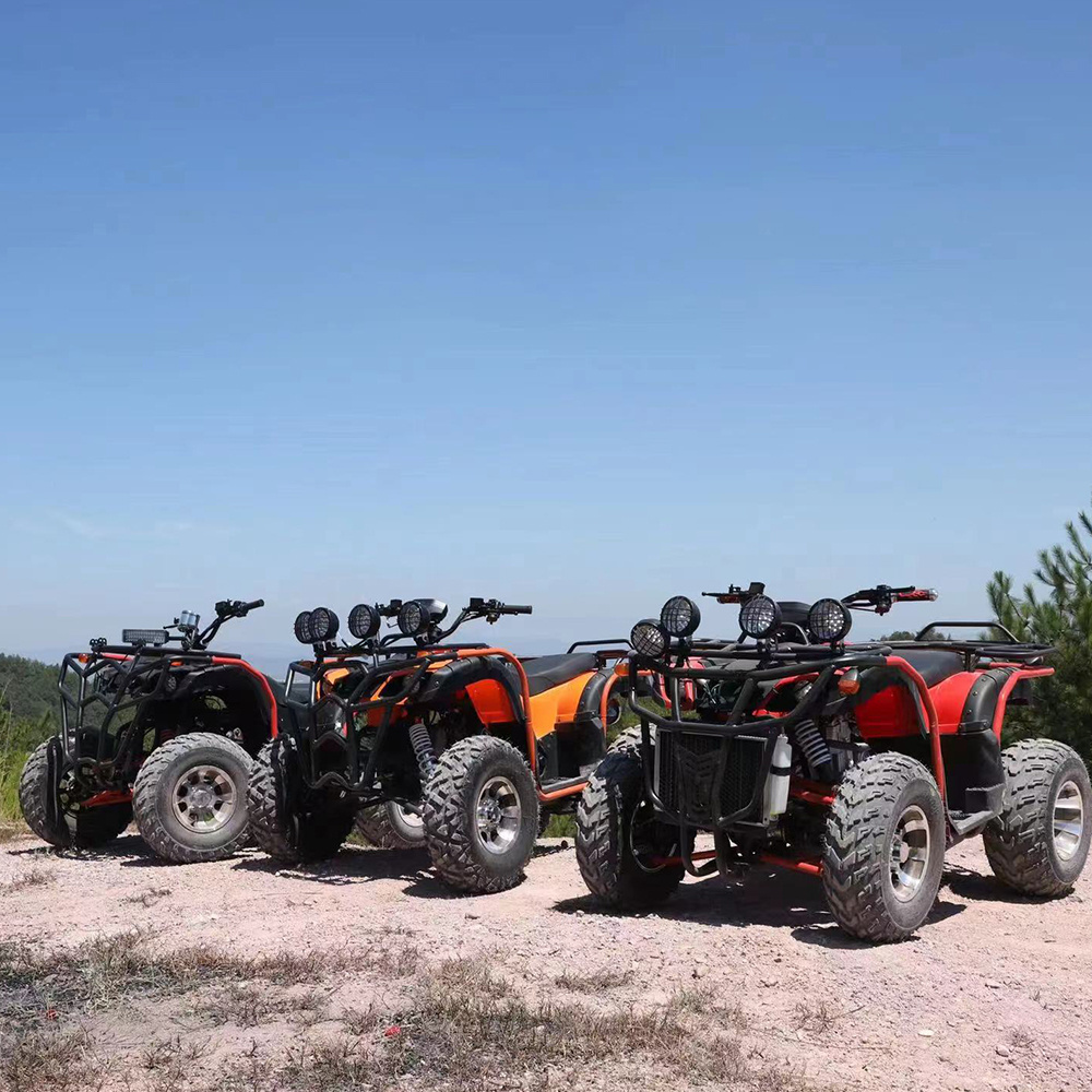 High power off road Utvs & Atvs adult quad bikes 250cc 300cc 200cc 150cc 125cc atv 4x4 400cc with 4 wheeler