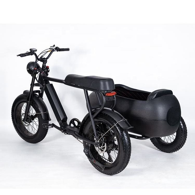 CHINFUN 20INCH Three Wheel 750w1000w 1500w Electric Tricycles Bicycle Sidecar Motorcycle Electric Scooter