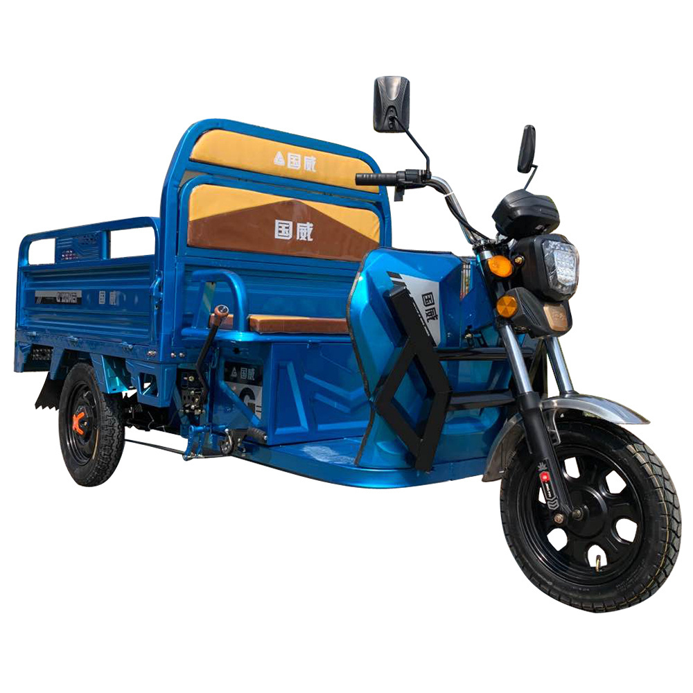 GUOWEI Custom 800w differiential motor 3 three wheel electric motorcycle car bike cargo trike tricycle for adults