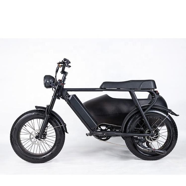 CHINFUN 20INCH Three Wheel 750w1000w 1500w Electric Tricycles Bicycle Sidecar Motorcycle Electric Scooter