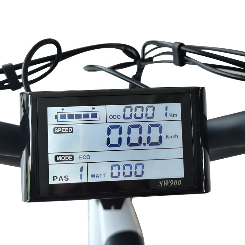 20 inch 48v 750w 9 mos 22A lishui sine wave controller frame mounted battery fat tyres mens electric bike bicycle