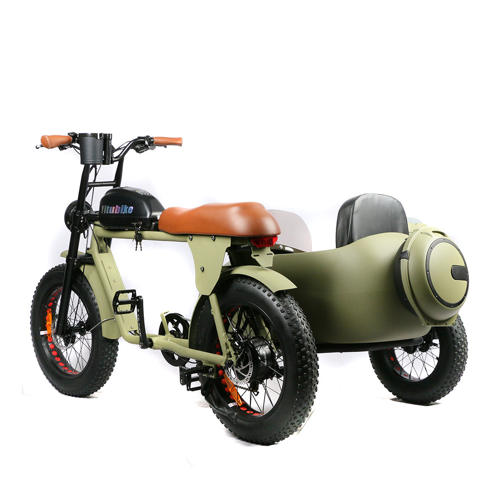 High power electric bike tires 20*4.0 fashion electric bike electric bike 1000w motors ebike with side car for kids