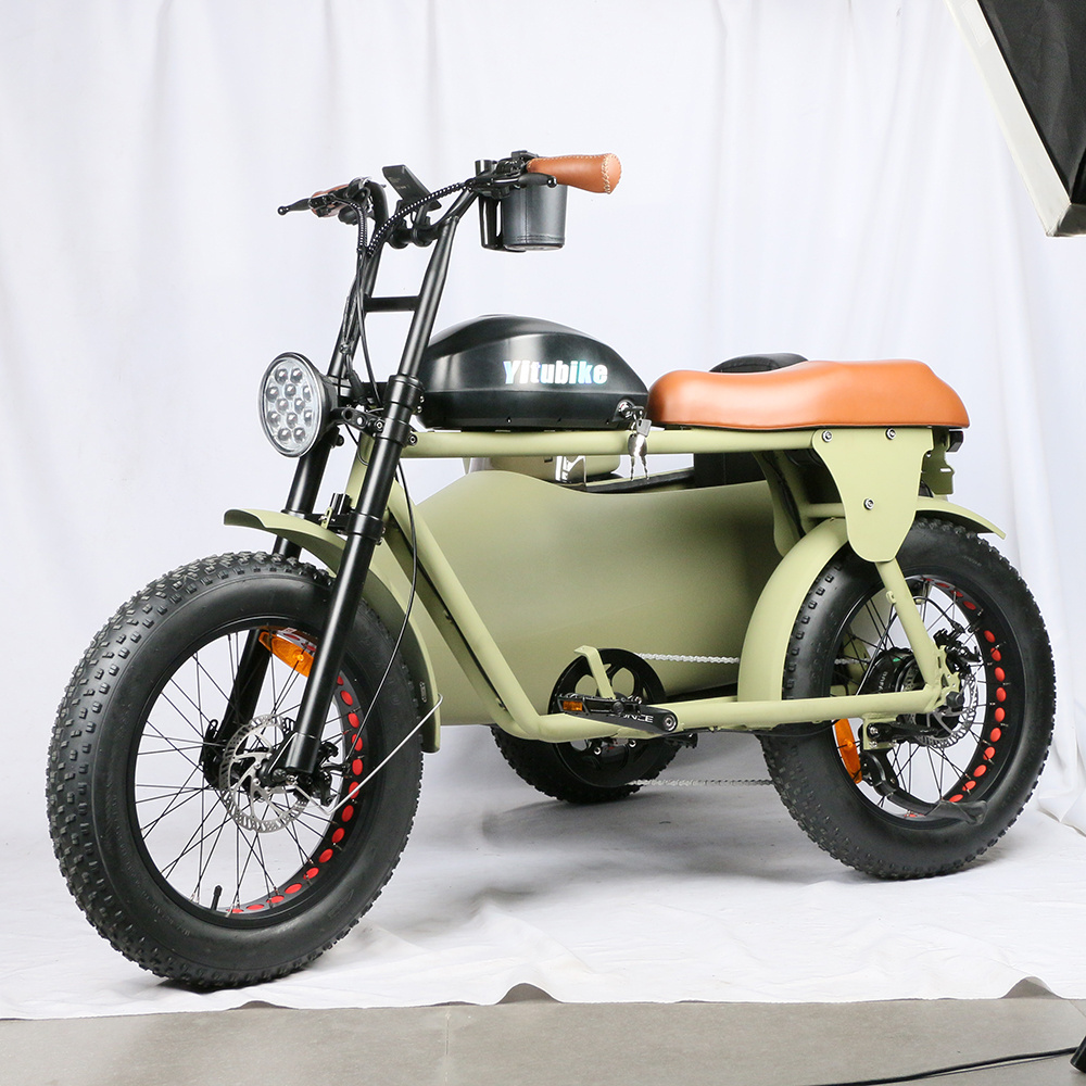 Retro Three Wheel Side Car Fat E-Bicycle Removable lithium battery e tricycle motorcycle for adult electric bike