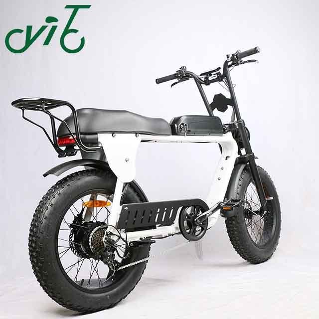 1000W Electric Fat Tire 3 wheel Tricycle Sidecar Motorcycle E-bike To Carry Pets Three Wheels Pedal Assist Road cargo Ebike