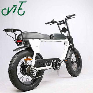 1000W Electric Fat Tire 3 wheel Tricycle Sidecar Motorcycle E-bike To Carry Pets Three Wheels Pedal Assist Road cargo Ebike