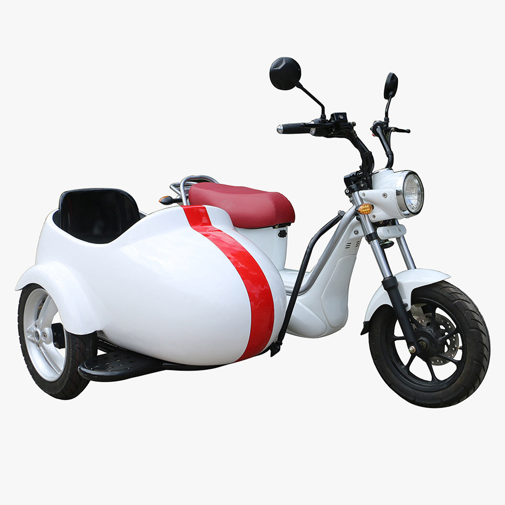 60v 500w 3 wheel electric scooter New Designed 2 Wheel Electric Scooter Motorcycle with side tank car