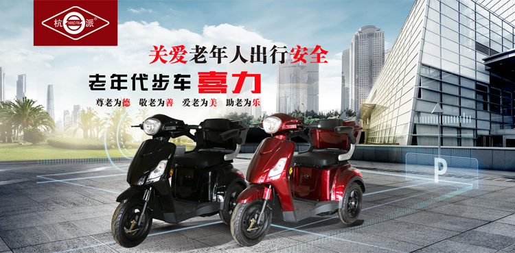 ce approved 35cc powerful 2 passenger seat street legal adult disabled person 3 wheel electric scooter mobility