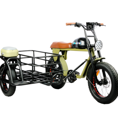 E bike with sidecar for sale online