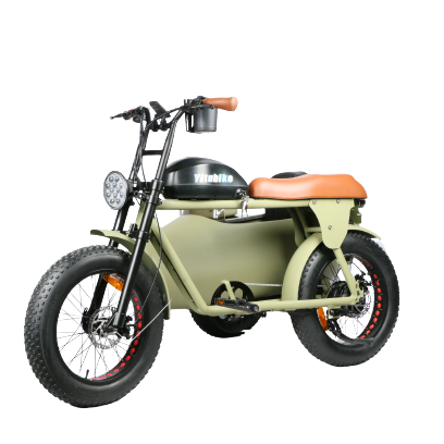 Newest design tricycles electric bike with side bucket three wheel e bike fashionable fat tire electric tricycle for adult