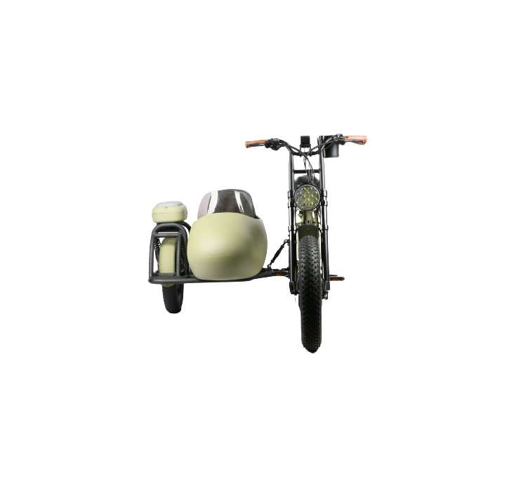 Newest design tricycles electric bike with side bucket three wheel e bike fashionable fat tire electric tricycle for adult