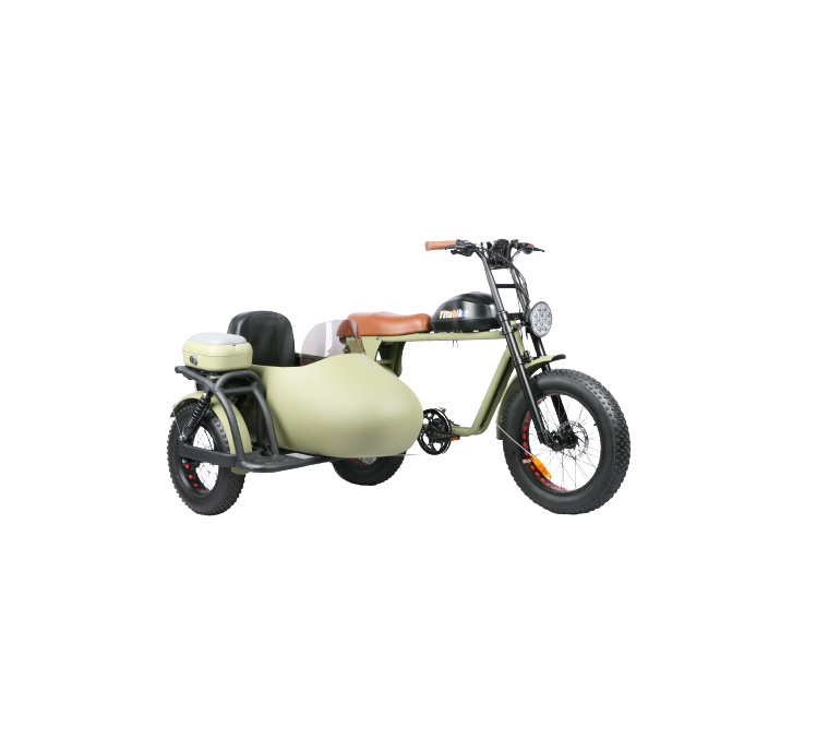 Newest design tricycles electric bike with side bucket three wheel e bike fashionable fat tire electric tricycle for adult