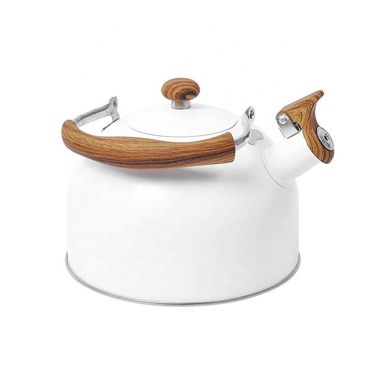 Kitchen Home Hot Water Tea Pot Stainless Steel Whistling Kettle With Color Painting Camping Kettle