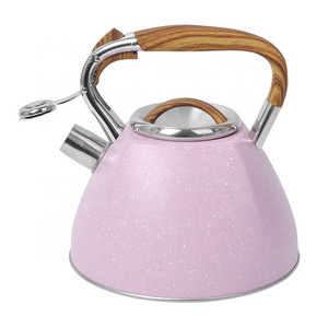 Modern Color Coating Stainless Steel Tea Kettle Induction Bottom Whistling Teapot For Stove Top