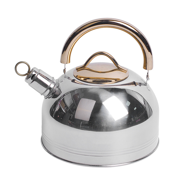 Traditional Tea Kettle Stovetop Teapot 201 Stainless Steel Hot Water Kettle Whistling