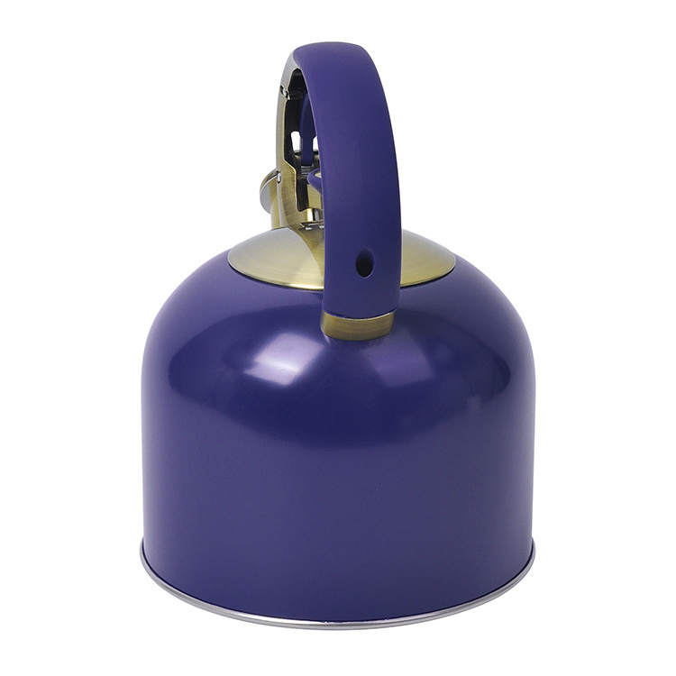 Purple Paint Home Appliance Gas Induction Bottom Cast Iron Stainless Steel Stove Top Tea Whistling Water Kettle For Stovetop