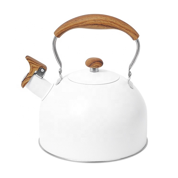 Kitchen Home Hot Water Tea Pot Stainless Steel Whistling Kettle With Color Painting Camping Kettle