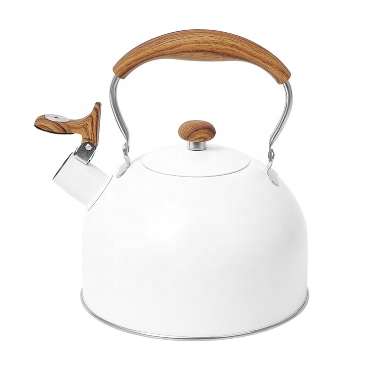 Kitchen Home Hot Water Tea Pot Stainless Steel Whistling Kettle With Color Painting Camping Kettle