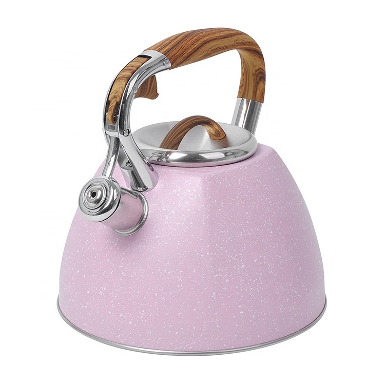 Modern Color Coating Stainless Steel Tea Kettle Induction Bottom Whistling Teapot For Stove Top