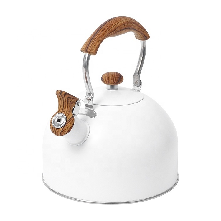 Kitchen Home Hot Water Tea Pot Stainless Steel Whistling Kettle With Color Painting Camping Kettle