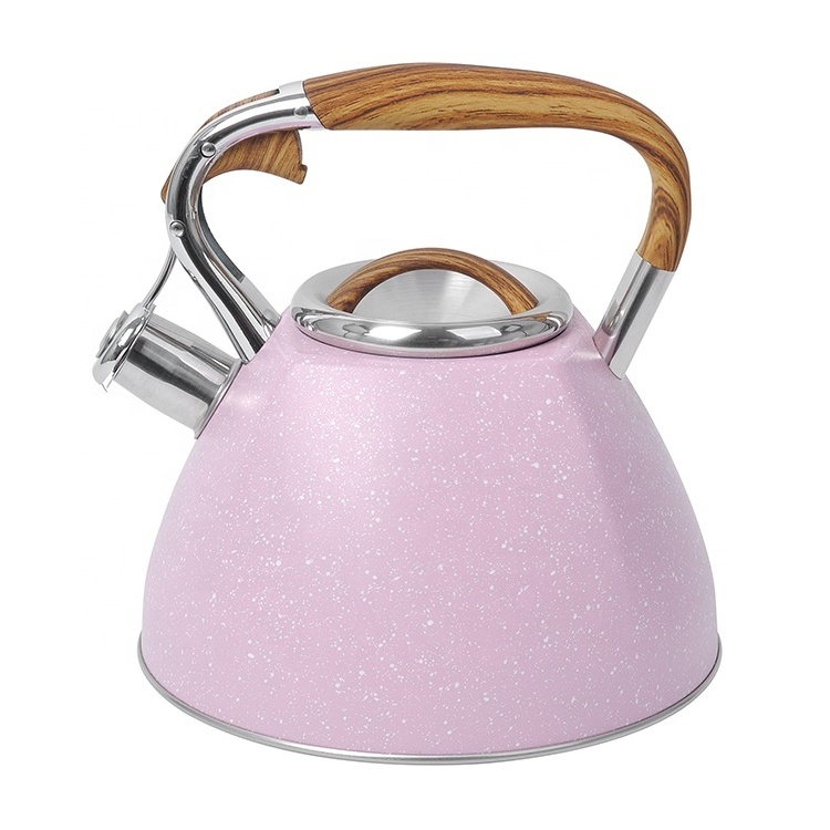 Modern Color Coating Stainless Steel Tea Kettle Induction Bottom Whistling Teapot For Stove Top