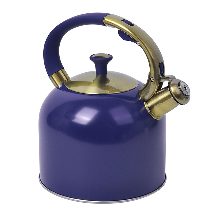 Purple Paint Home Appliance Gas Induction Bottom Cast Iron Stainless Steel Stove Top Tea Whistling Water Kettle For Stovetop