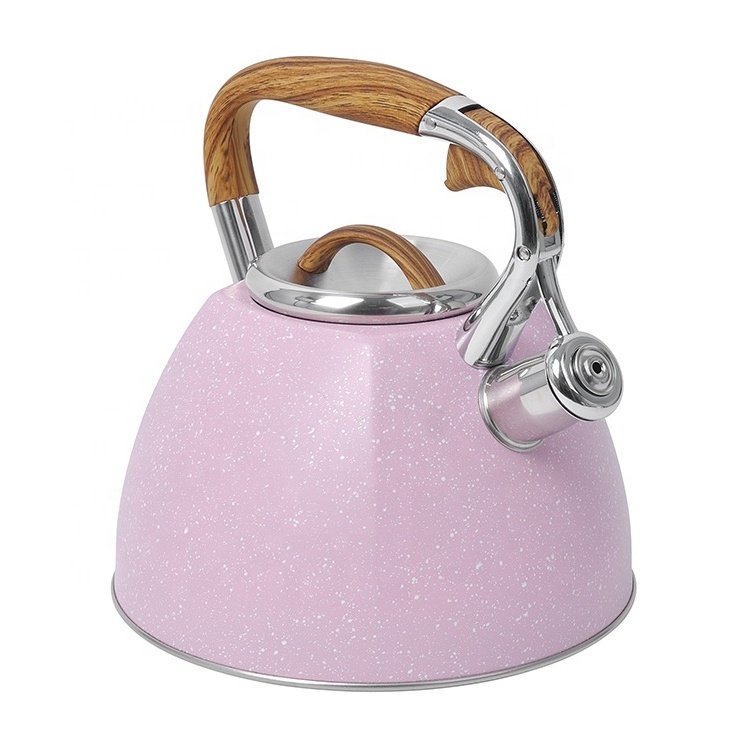 Modern Color Coating Stainless Steel Tea Kettle Induction Bottom Whistling Teapot For Stove Top