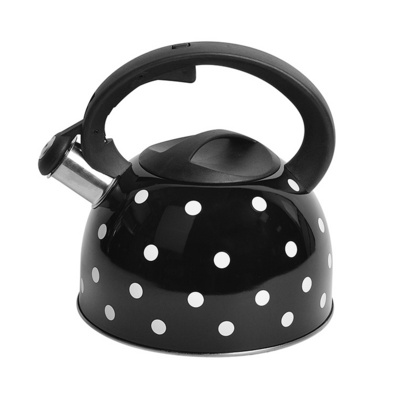 2.5L Modern Color Coating Stainless Steel Tea Kettle Induction Bottom Whistling Teapot For Stove Top