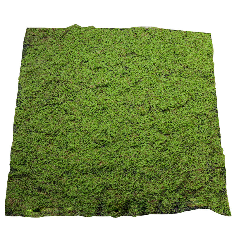 Simulation moss lawn brown silk moss turf background plant wall decoration green Potted Plantwall grass decoration artificial