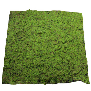 Simulation moss lawn brown silk moss turf background plant wall decoration green Potted Plantwall grass decoration artificial