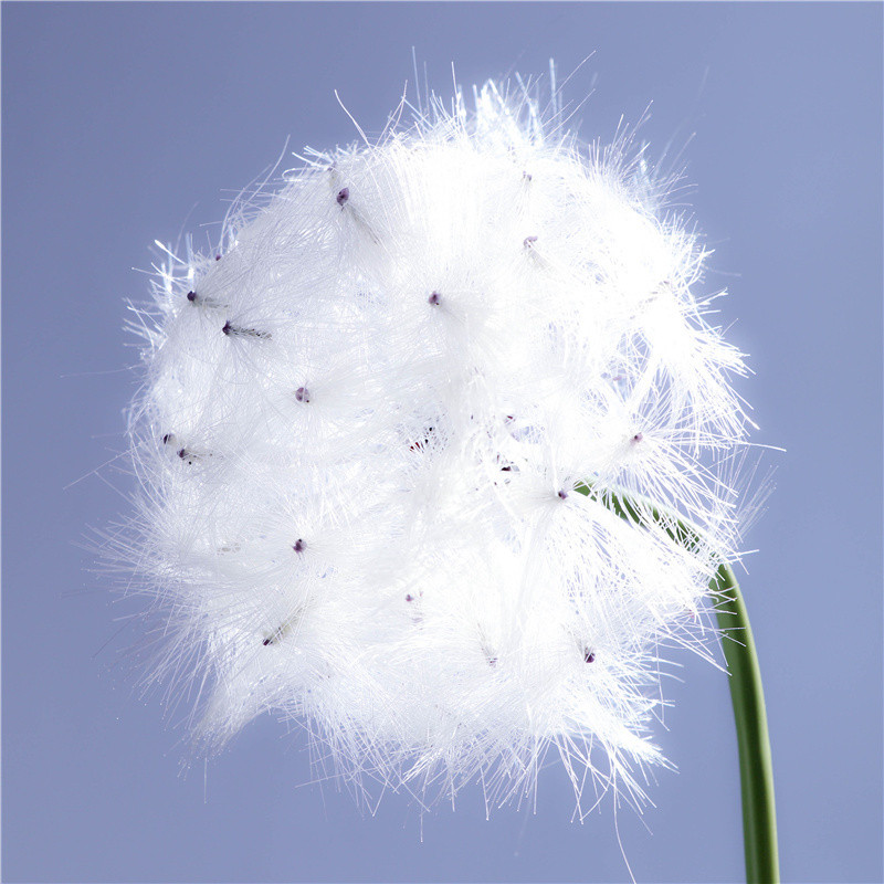 Large Dandelion 72CM Plastic White Artificial Simulation Flower For Daisy Home Decor