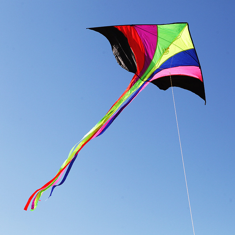 New front pole colorful Phoenix large high-grade Chinese style high quality kite