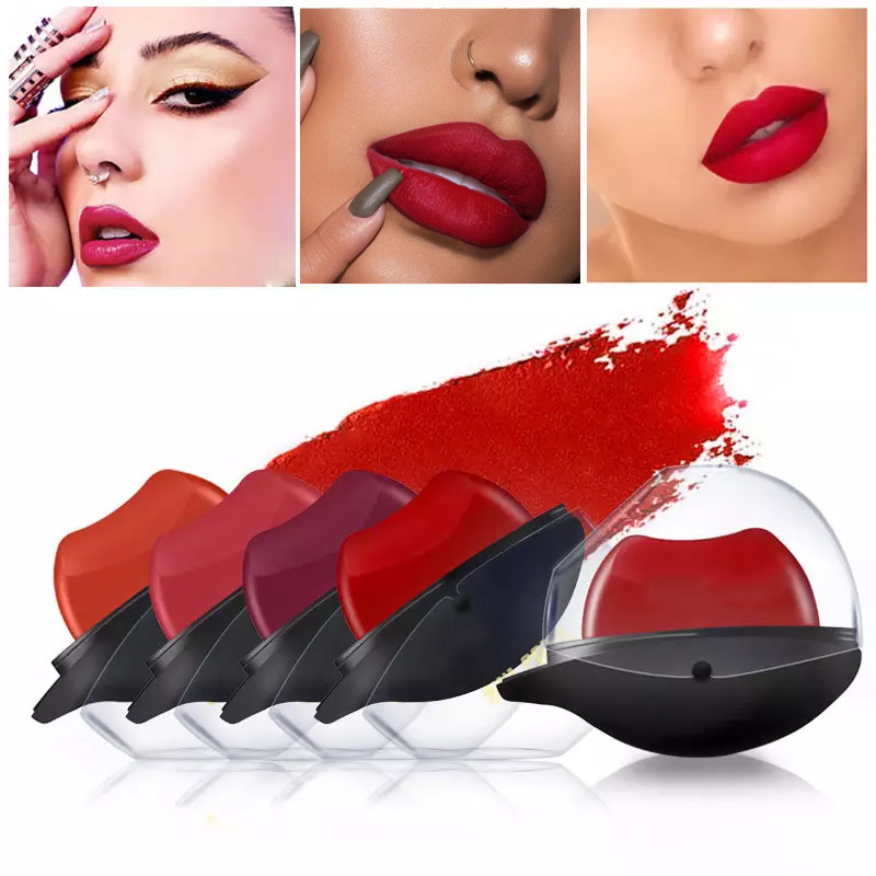 SHICELLE New Waterproof 12 Multi Colors Wholesale Lazy Lipstick Velvet Matte Long Lasting Nonstick Cup Lip-shaped Lipstick