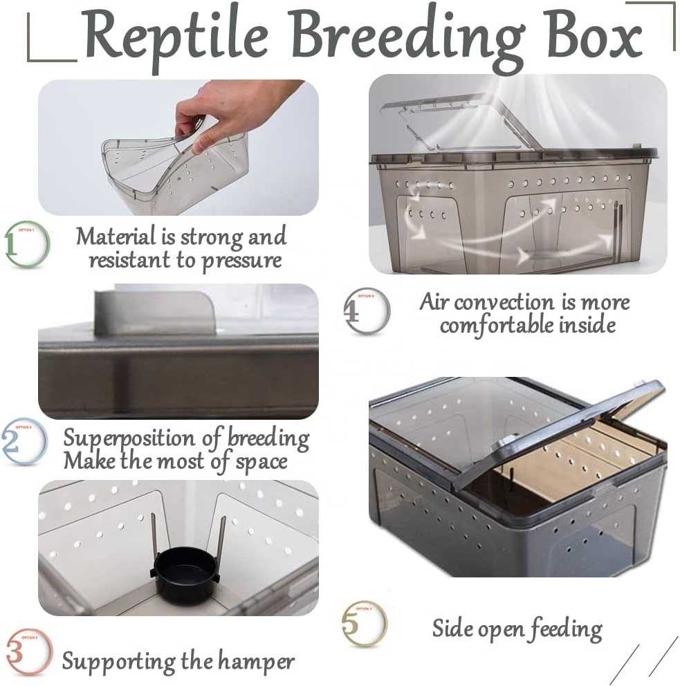 Reptile Plastic Box Feeder Hatching Keeper Reptile Frog Box Lizard Habitat Breeding Container