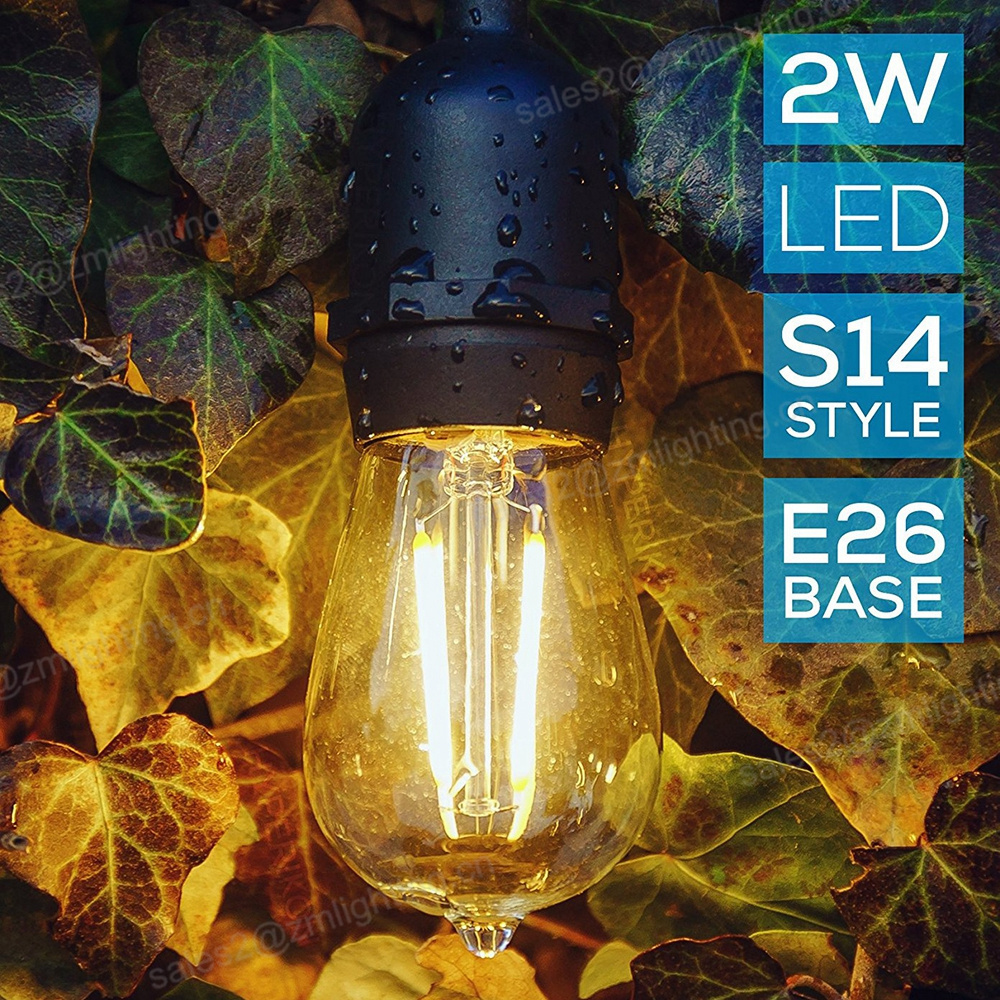 2W 4W 6W warm white 2700K outdoor string light vintage edison S14 Filament LED Bulb