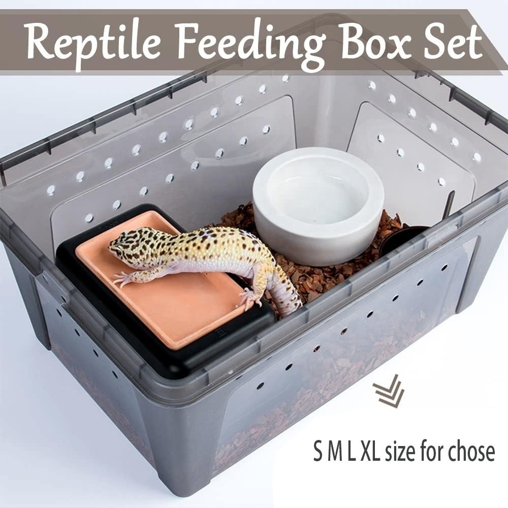 Reptile Plastic Box Feeder Hatching Keeper Reptile Frog Box Lizard Habitat Breeding Container