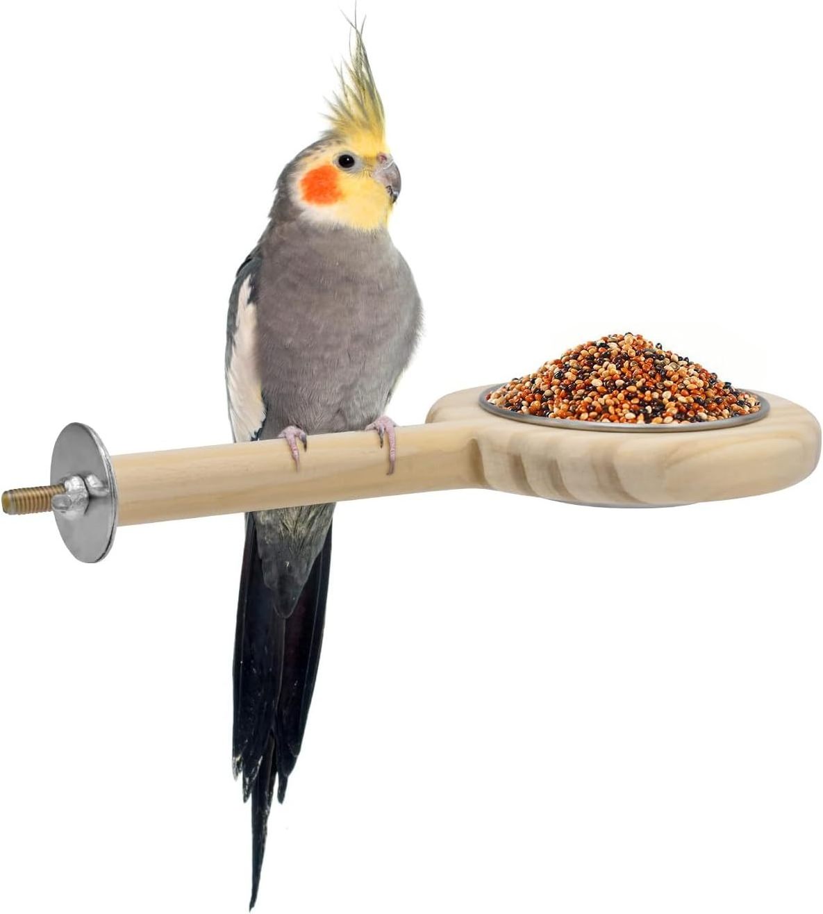 Parrot bird supplies Solid wood standing rod stainless steel feeder