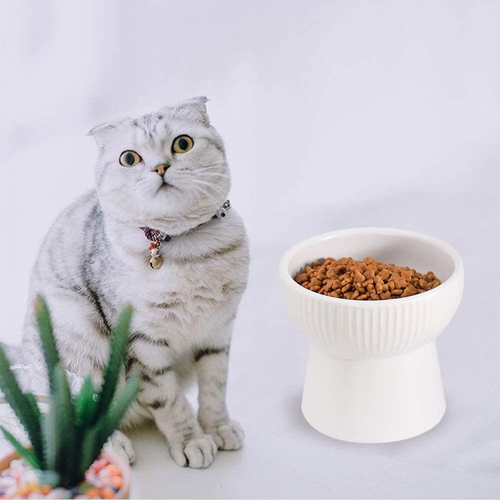 ceramic raised cat bowls elevated food or water bowls that are pressure-free and anti-reflux